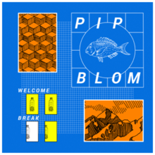 A grid with various superimposed images: four bottles in separate rectangles, an isometric view of cubes, a sketch of a mountain, and a drawing of a fish