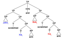 Tree for the sloppy reading Sloppy reading tree.tiff