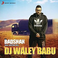 DJ Waley Babu - Cover Art.jpeg