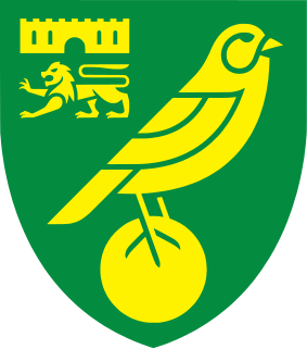 <span class="mw-page-title-main">Norwich City F.C.</span> Association football club