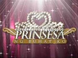 Prinsesa n Buhay Ko title card.jpg