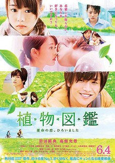 <i>Evergreen Love</i> 2016 Japanese film