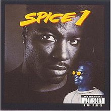 Spice1album.jpg