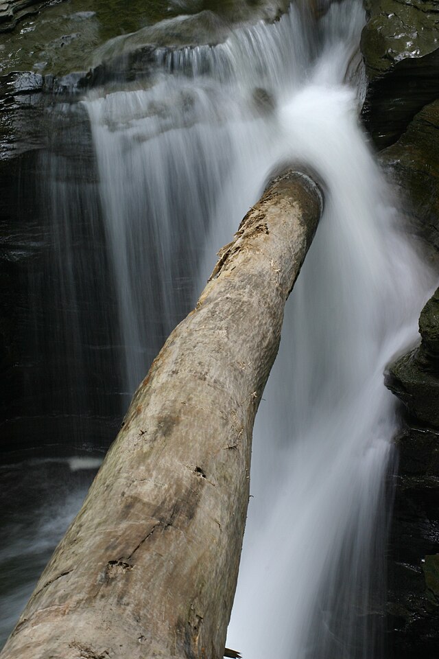 Buttermilk Falls State Park- Wikipedia