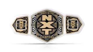 <span class="mw-page-title-main">NXT Women's Tag Team Championship</span> Professional wrestling championship in WWE