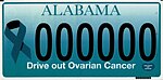 Ovarian-Cancer-Research-2022-768x377.jpg