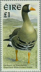 PS1 goose stamp designed by Killian Mullarney Stamp irl 1997 PS1goose.jpg