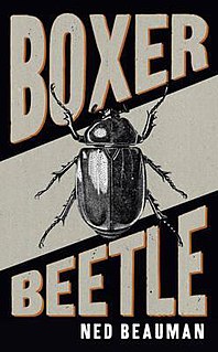 <i>Boxer, Beetle</i>
