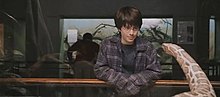 Harry Potter with a Burmese python in the Reptile House Harry Potter at London Zoo.jpg