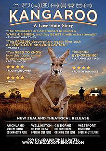 Kangaroo a love hate story 2017.jpg