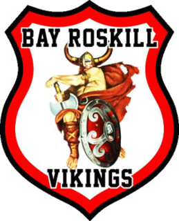 Bay Roskill Vikings NZ rugby league club, based in Auckland