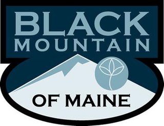 <span class="mw-page-title-main">Black Mountain of Maine</span> Ski area in Rumford, Maine