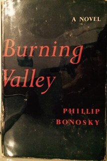 <i>Burning Valley</i>