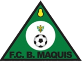 <span class="mw-page-title-main">F.C. Bravos do Maquis</span> Association football club based in Angola