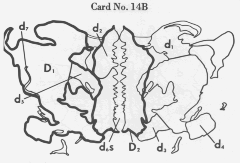 Rorschach test - Wikipedia