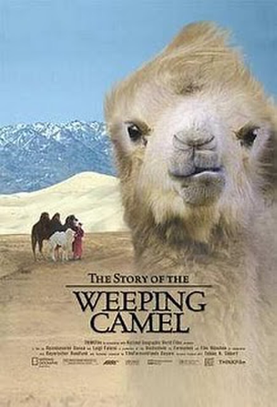 The Story of the Weeping Camel 