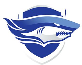 <span class="mw-page-title-main">Chonburi F.C.</span> Thai football club