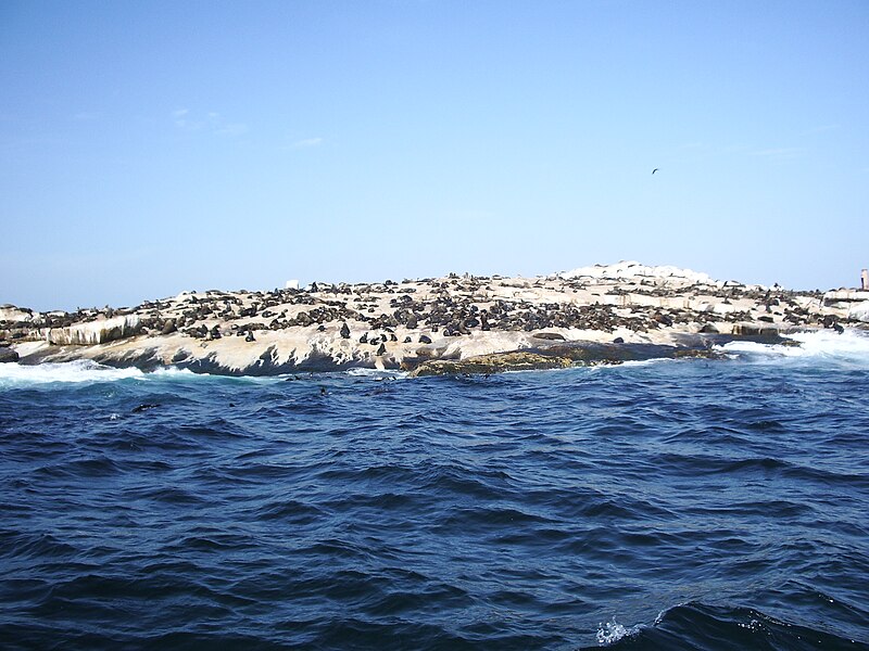 File:Sealisland.jpg