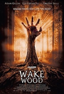 <i>Wake Wood</i> 2011 film