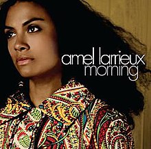 Amel Larrieux - آلبوم صبح cover.jpg