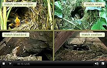 The Springwatch 2009 webcam console BBCSpringwatchconsole2009.JPG