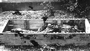 Achromatic photograph of a coffinlike box in a garden area, shown from about a 45-degree angle, with indistinguishable lumps inside. At the left, there is a possible head form (bald and lacking ears) facing the camera, looking more like a bust with a closed jaw; it is detached at the 'neck', which faces the box edge.