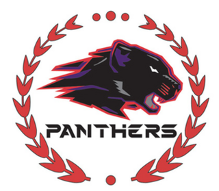 <span class="mw-page-title-main">Peterborough Panthers</span> Former British motorcycle speedway team