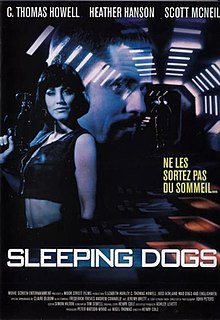 Sleeping Dogs, Sleeping Dogs Wiki