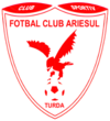 Insigno FC Ariesul Turda.png