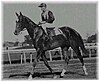 Beldame the horse (Frank O'Neill riding) .jpg