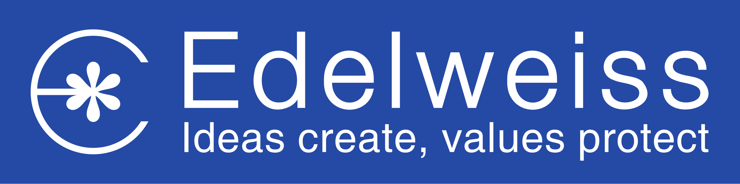 WWII Bergführer Sleeve Edelweiss - VISION WORLD TECH PVT LTD
