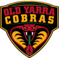 Thumbnail for Old Yarra Cobras Football Club