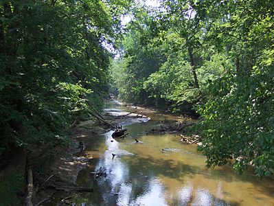 Spartanburg – Lawson's Fork Creek just downstream from the Cottonwood Trail