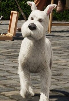 Snowy as he appears in Steven Spielberg's 2011 motion capture feature film The Adventures of Tintin: The Secret of the Unicorn