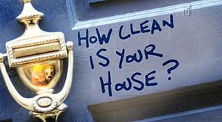 <i>How Clean Is Your House?</i> British television programme