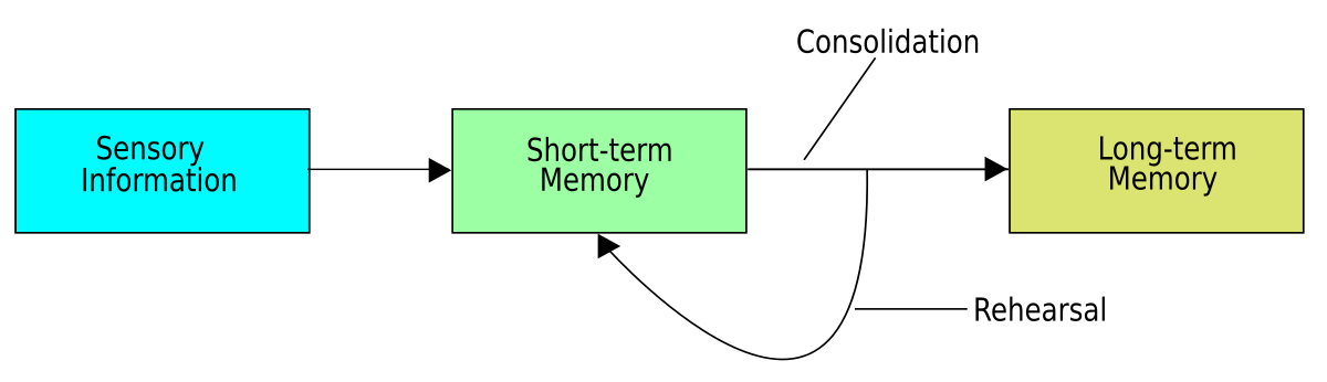 position of consolidation to the information-to-memory process