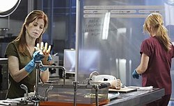 Talking Heads (Body of Proof) .jpg