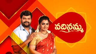 <i>Vadinamma</i> Indian TV series or programme