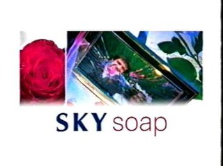 <span class="mw-page-title-main">Sky Soap</span> Former British satellite television channel devoted to soap operas (1994–1999)