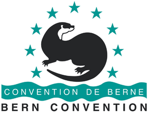 Berne Convention logo.png