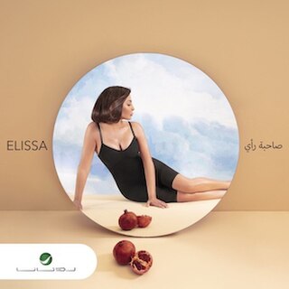 <i>Sahbit Raey</i> 2020 studio album by Elissa