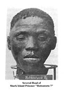 Heads used for medical experimentation during the Herero and Namaqua genocide