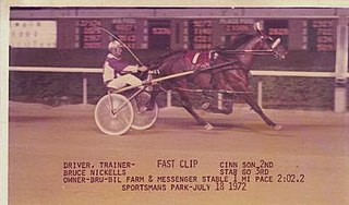 Fast Clip Standardbred racehorse