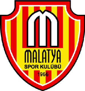 <span class="mw-page-title-main">Malatyaspor</span> Turkish sports club