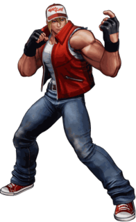 <span class="mw-page-title-main">Terry Bogard</span> Fictional character