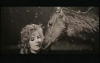 The music video for "Ainsi soit-je..." was deemed as a tribute to the animated feature Bambi.