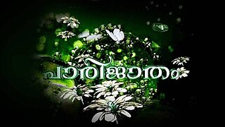 <i>Paarijatham</i> (2008 TV series) Indian TV series or programme