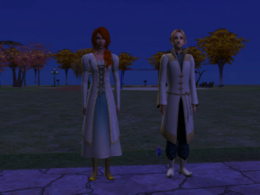 A good-aligned witch and warlock TS2AL witch and warlock.png