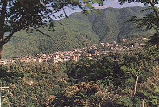 <span class="mw-page-title-main">Delianuova</span> Comune in Calabria, Italy