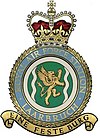 RAF Laarbruch badge.jpg 